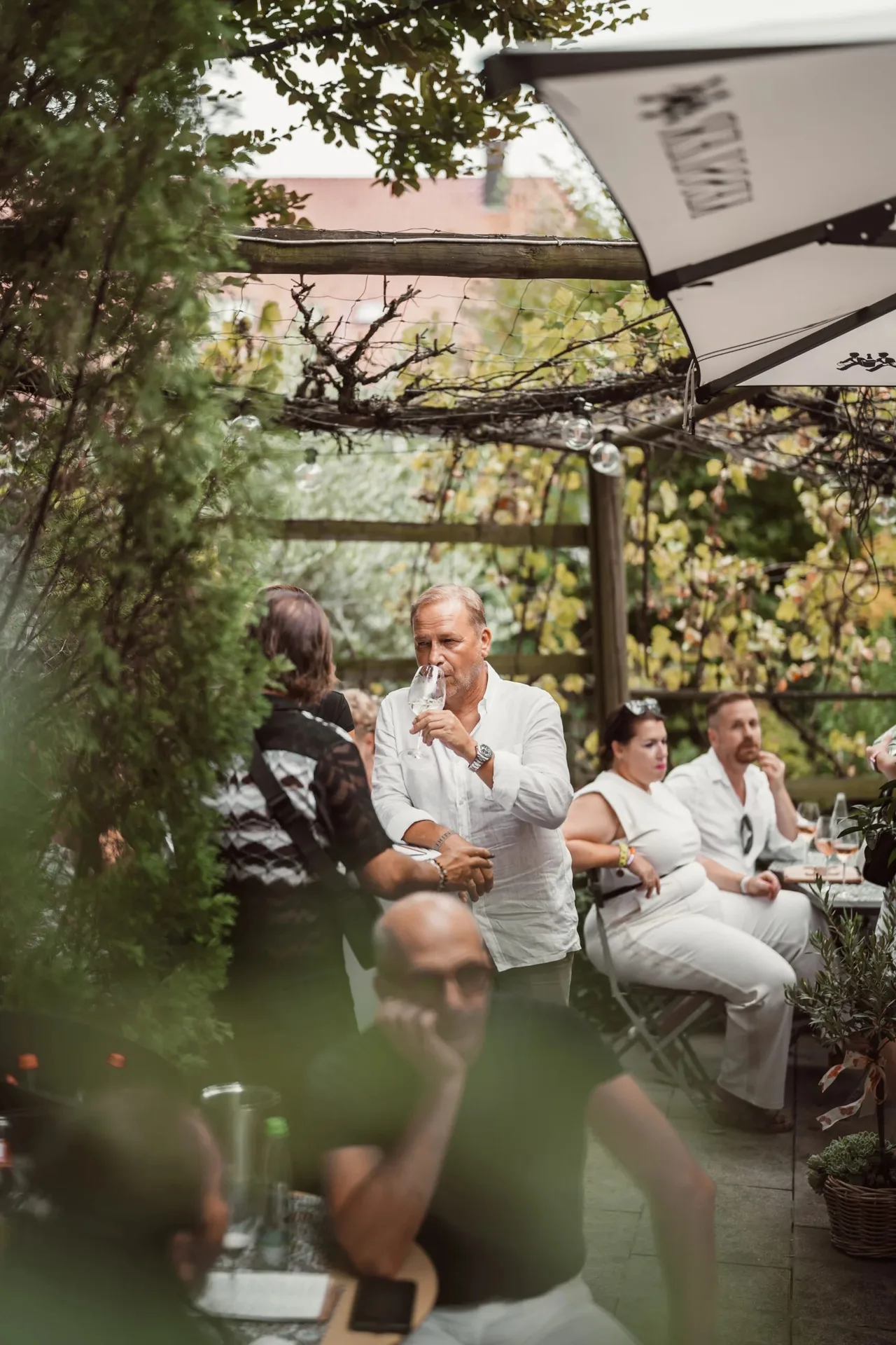 Bens Weinstube Klink — photo 34