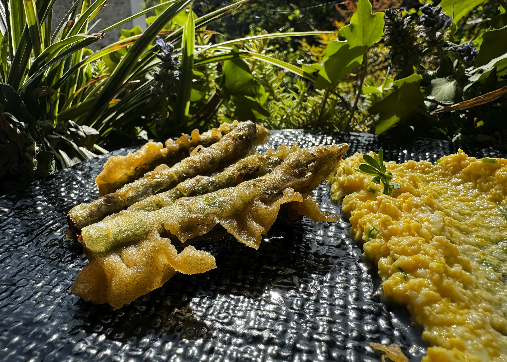 Osteria da Cippi — photo 15