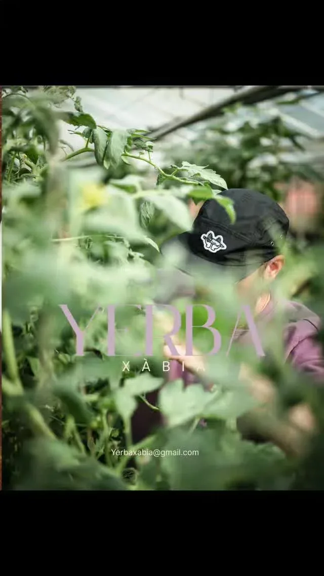 YERBAxabia — photo 8