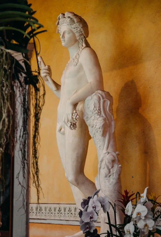Hacienda Laborcilla — photo 18