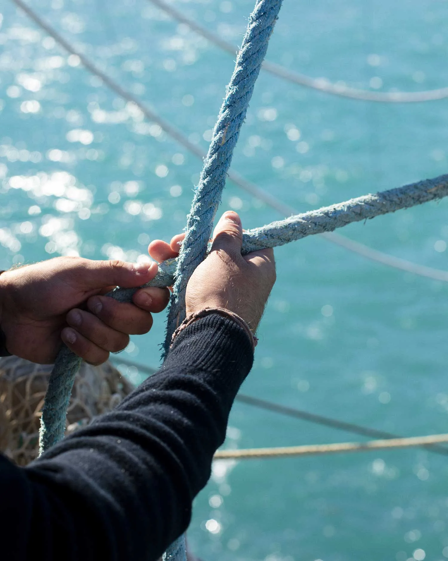 Al Trabucco da Mimì — photo 5