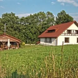 Rozmarýn — photo 36