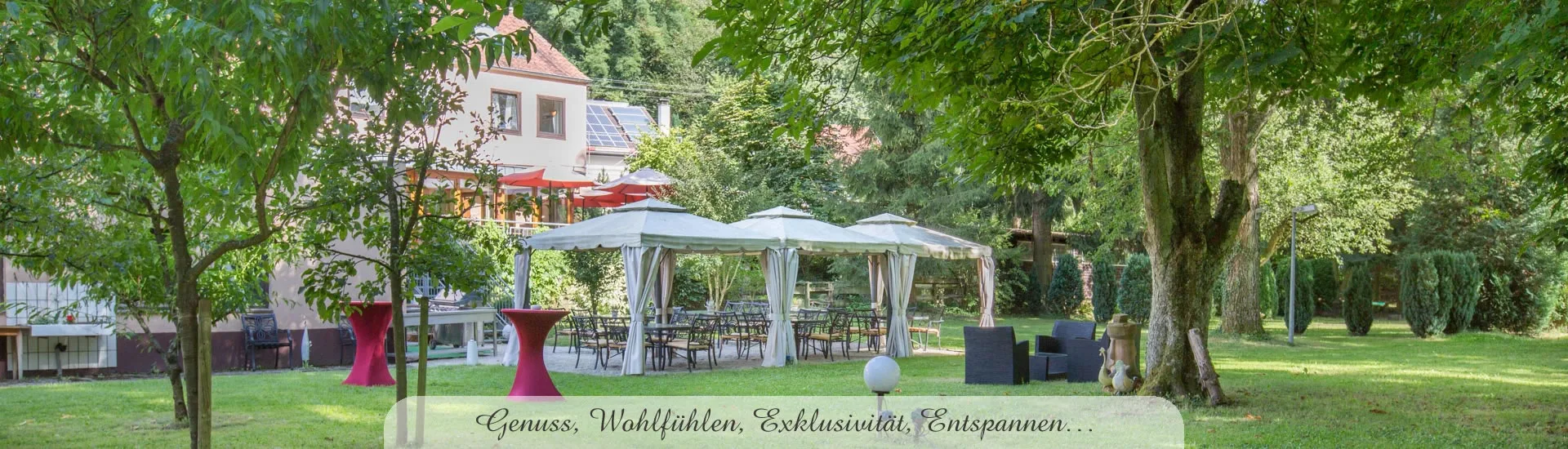 Restaurant Niedmühle — photo 36
