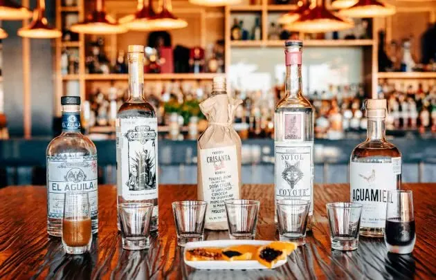 Mezcal — photo 12
