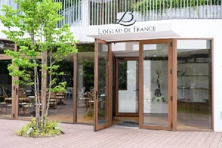 Loiseau de France — photo 9