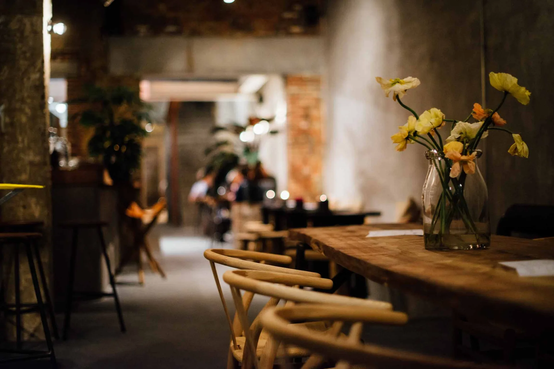 Veranda, Antwerpen
