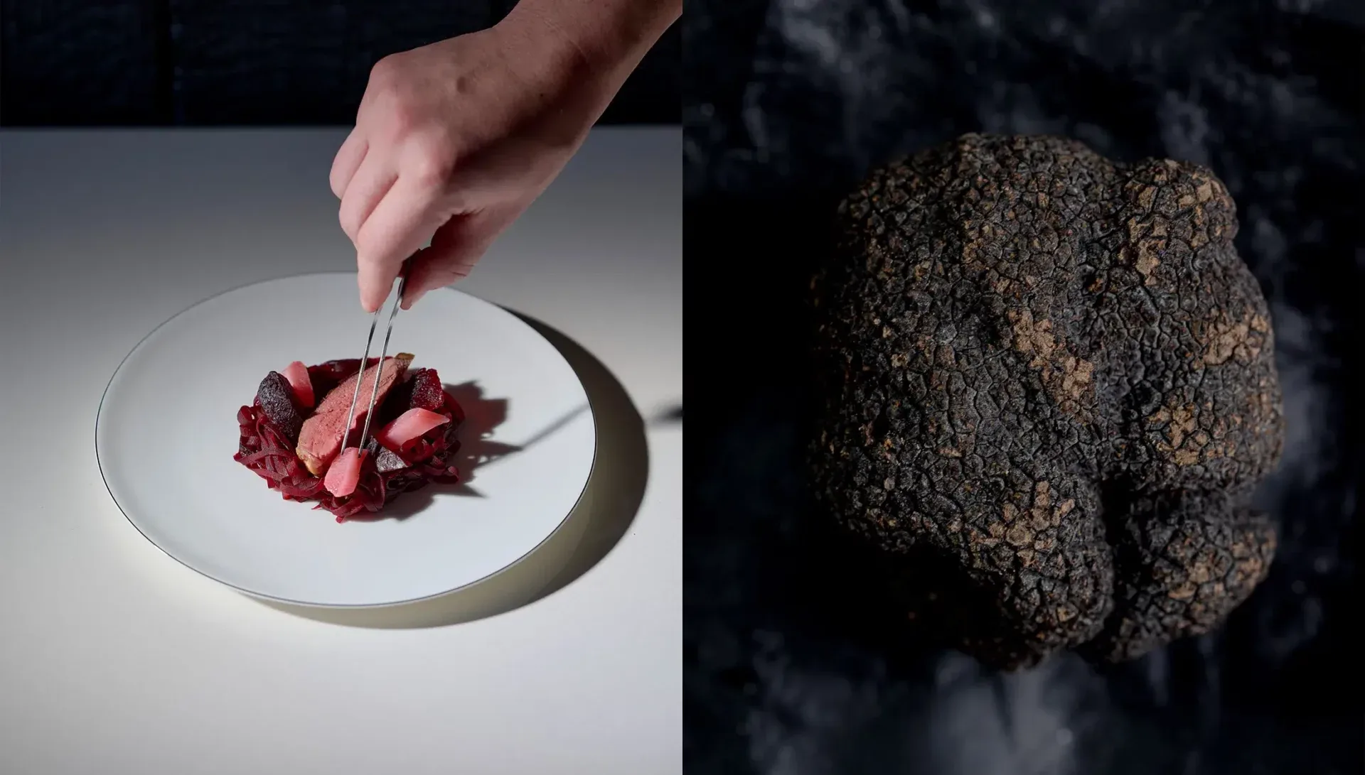 Chaga — food