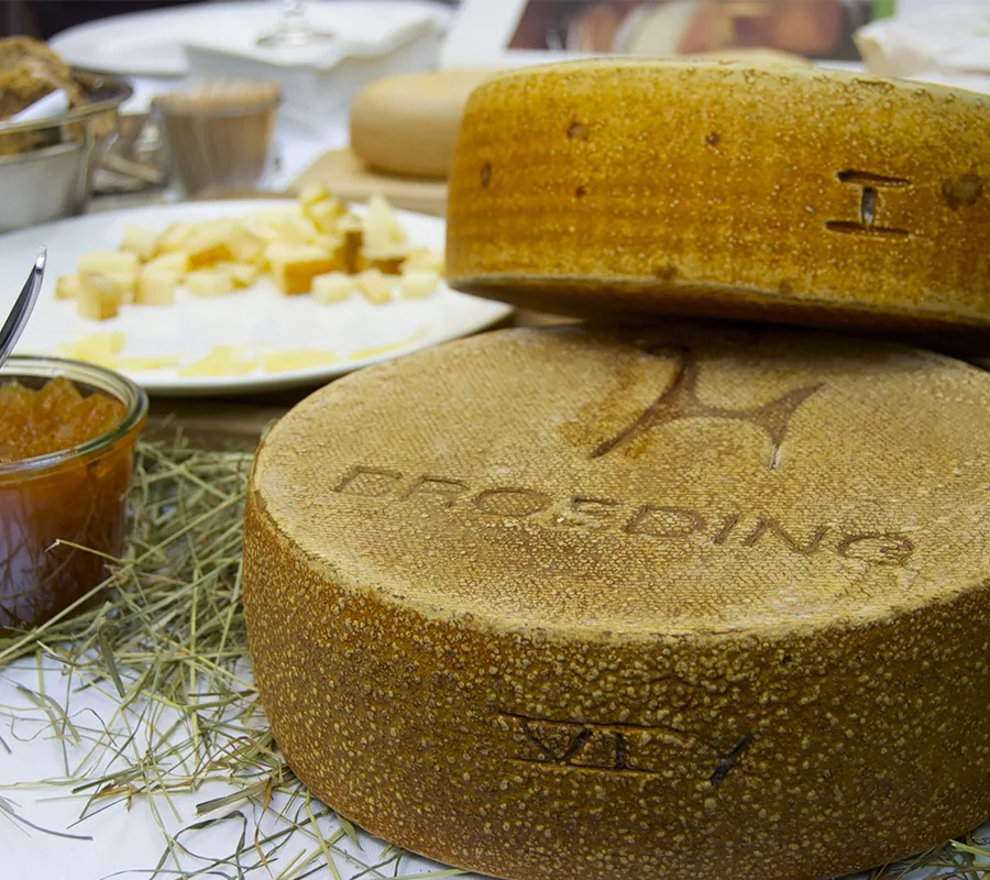Broeding — photo 19