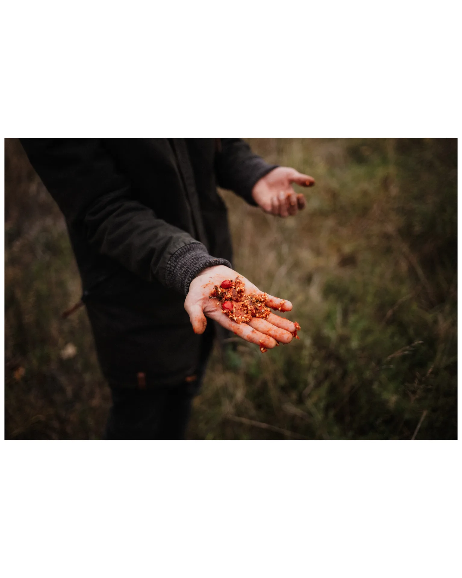 Wirtschaft Traube — kitchen
