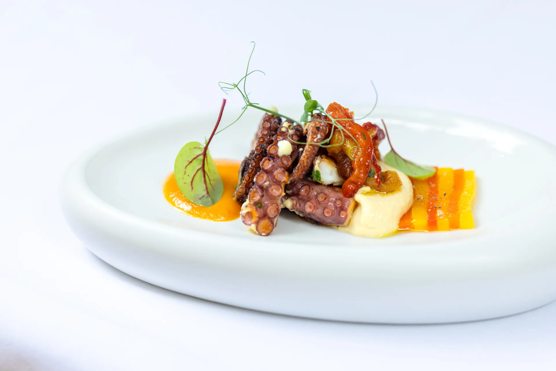 Lumia Ristorante — food