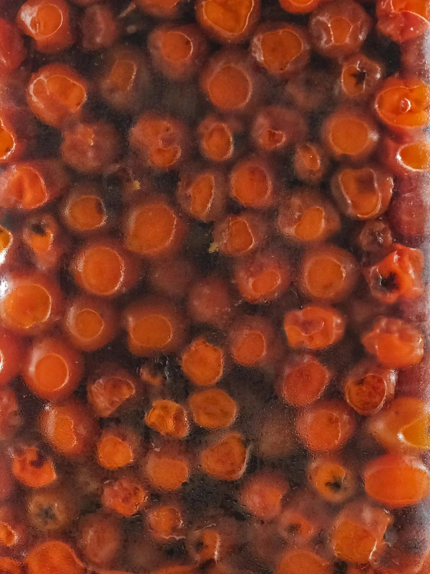 Kropf — photo 29
