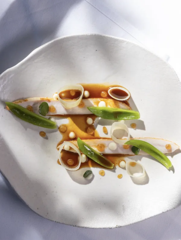 Salsify at the Round House — photo 45