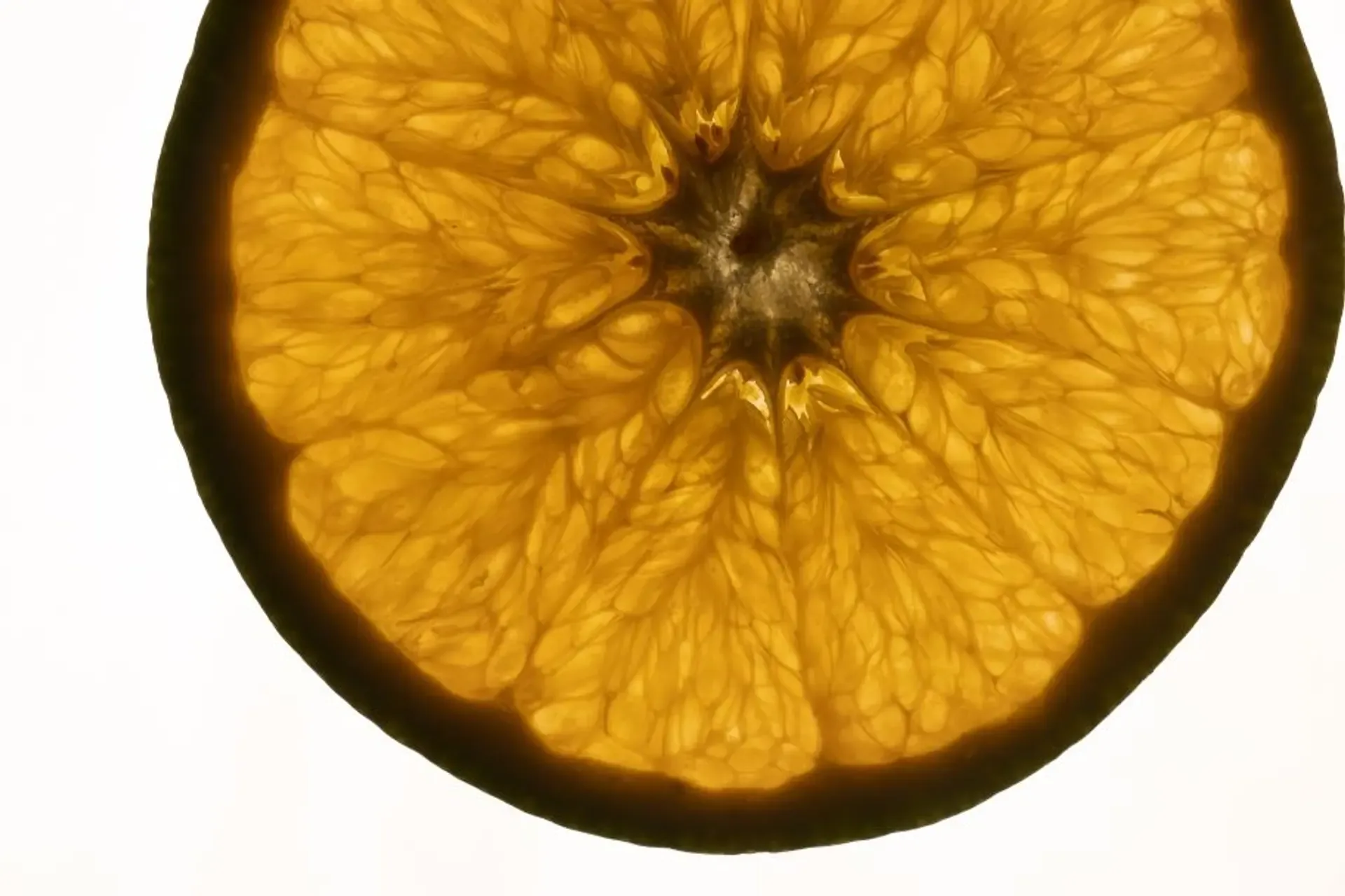 Locavore NXT — photo 8