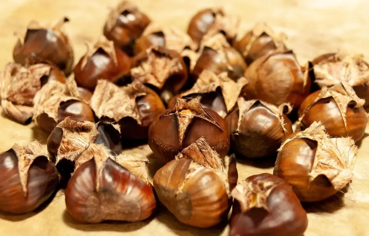 Bertas im weissen Rössl — food