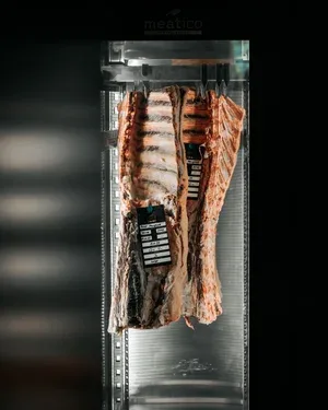 Steak — food