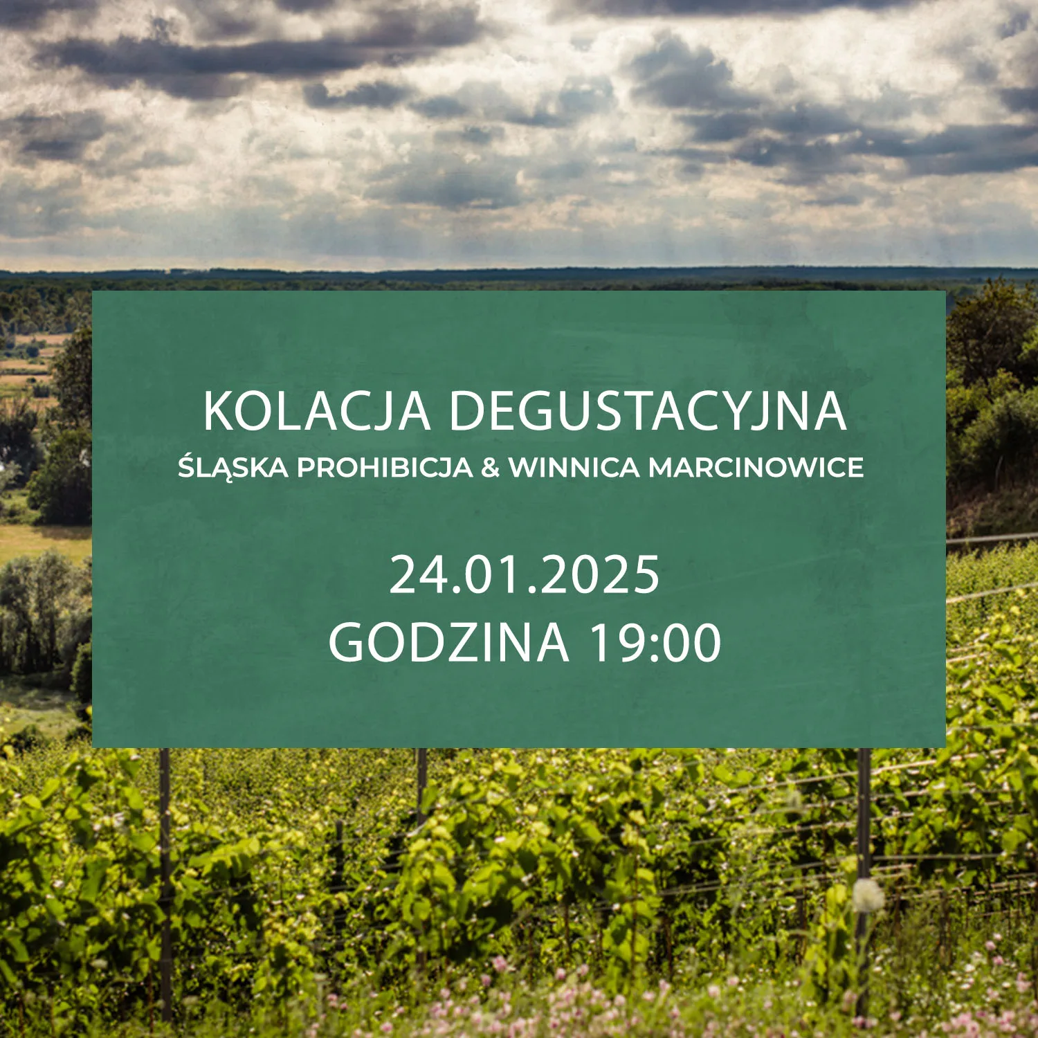 Śląska Prohibicja — photo 54