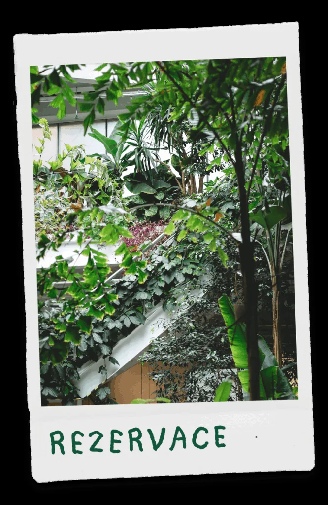 Mazel Vinohrady — photo 16