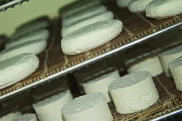 Le Bouche à Oreille — drink