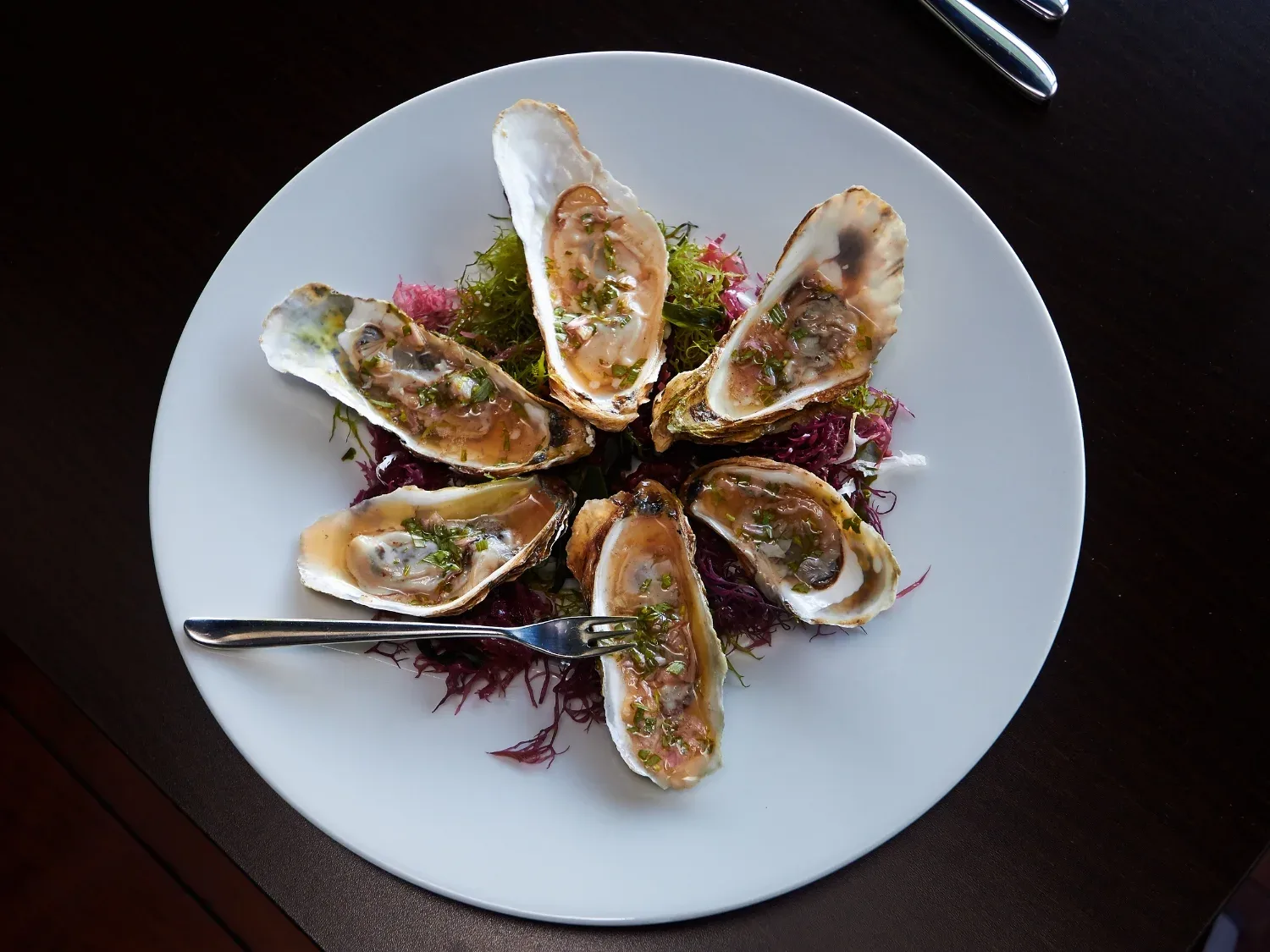Flying Fish GastroBar — photo 45