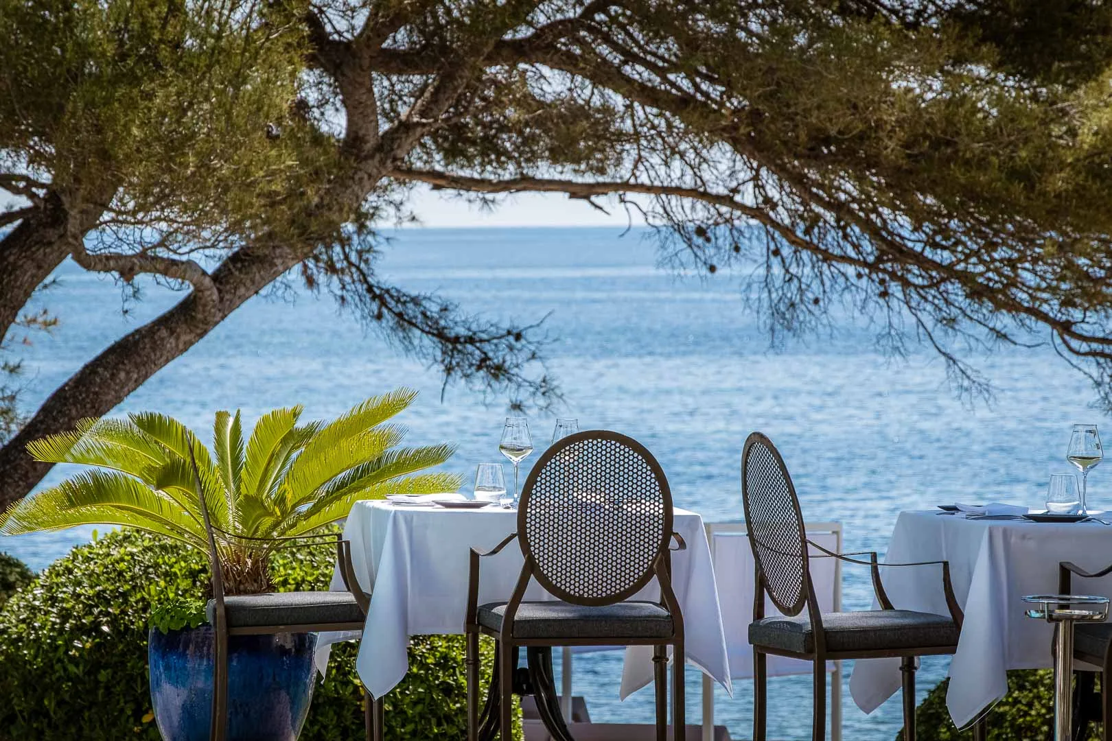Le Bougainvillier, Fréjus