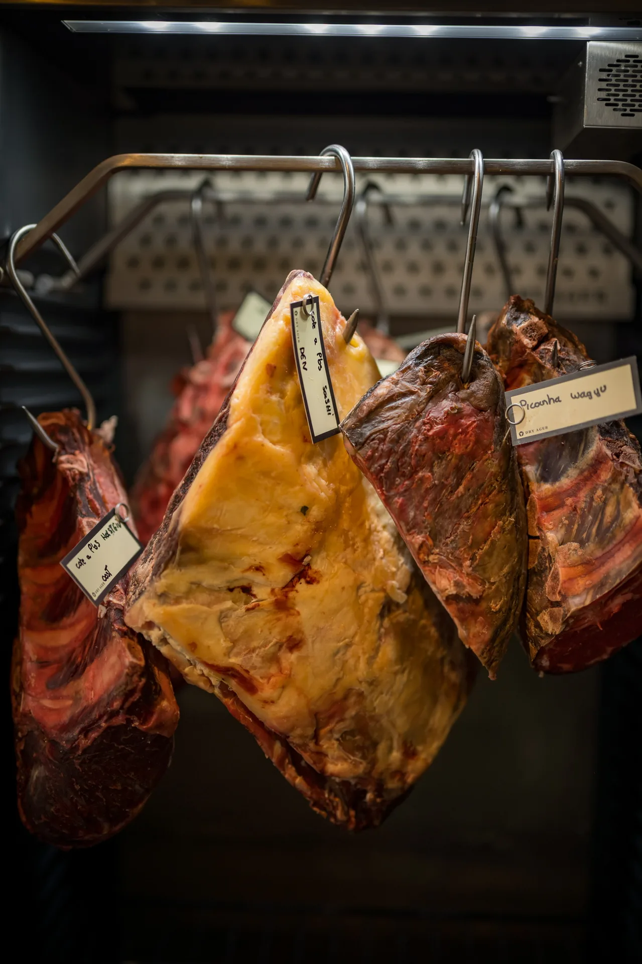 Bink — photo 40