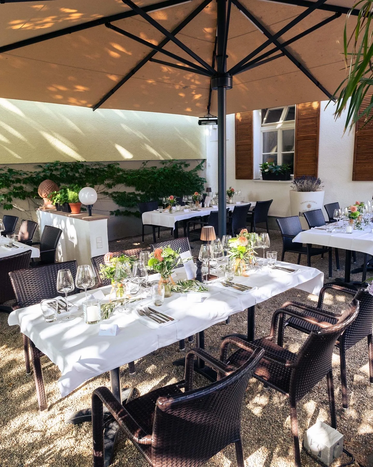 Toscanino Trattoria &amp; Vinothek — photo 47
