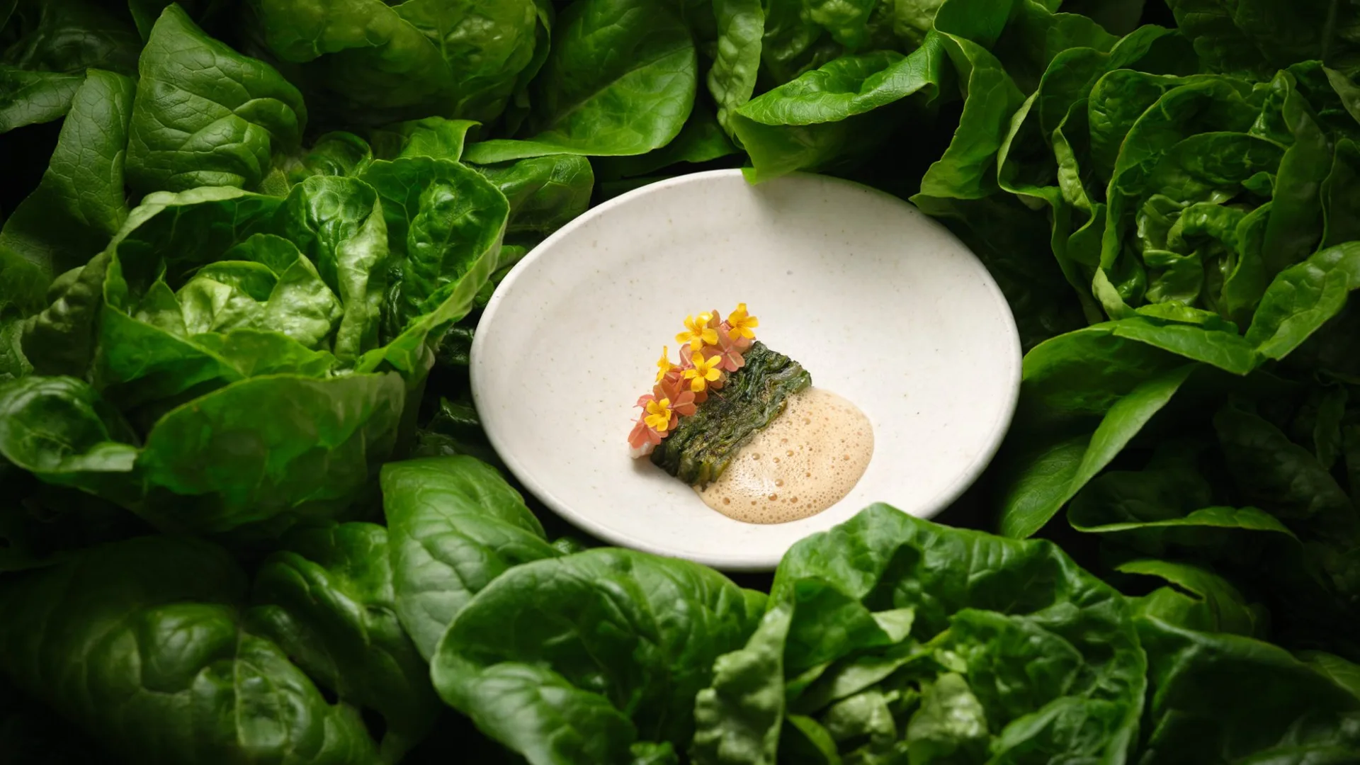L'Enclume — photo 9