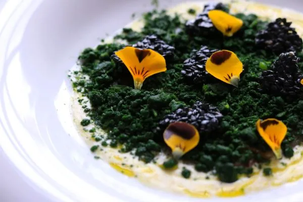 A3 — food
