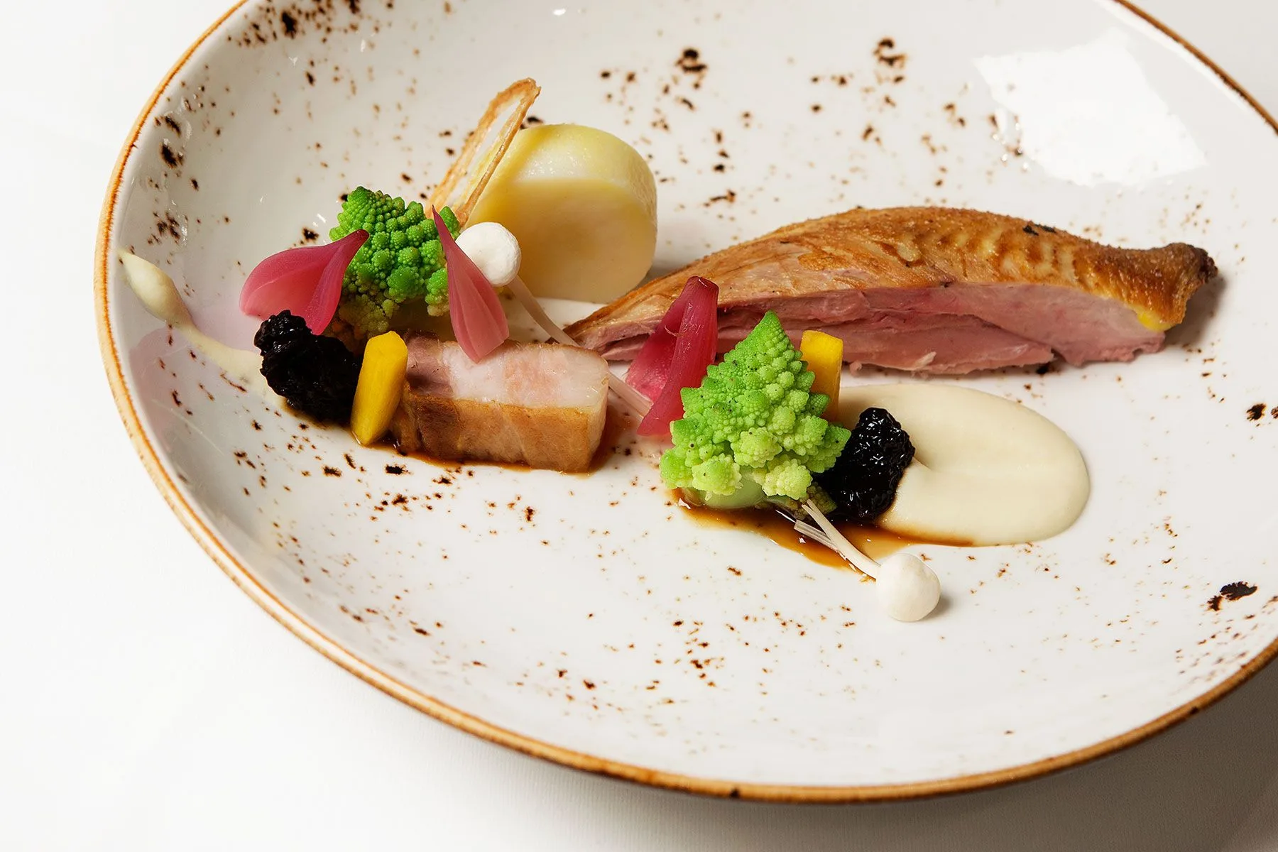 Prins van Terbregge — photo 14