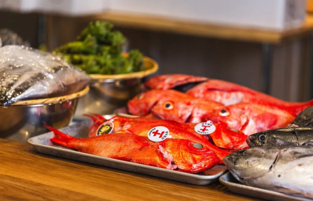 Shota Omakase — photo 5