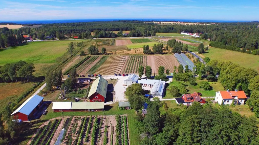 Lilla Bjers Gårdskrog, Visby