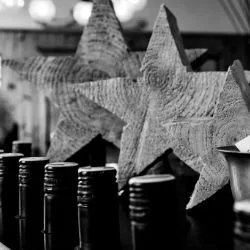 Stern — photo 13