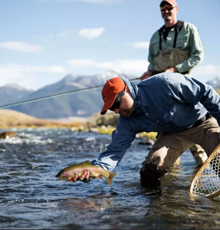 Wild Caddis — photo 4