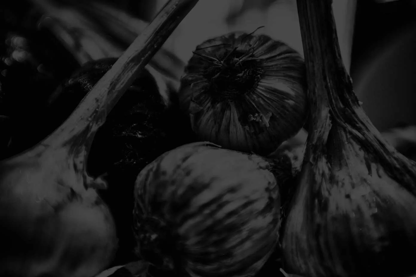 recte — food