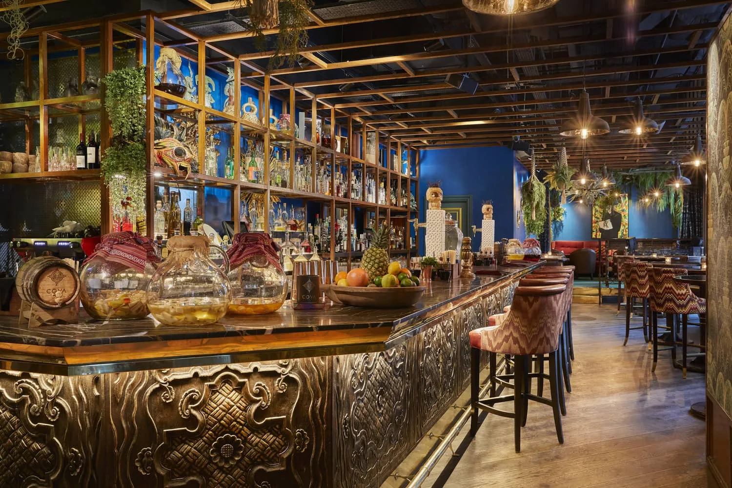 Coya — photo 8