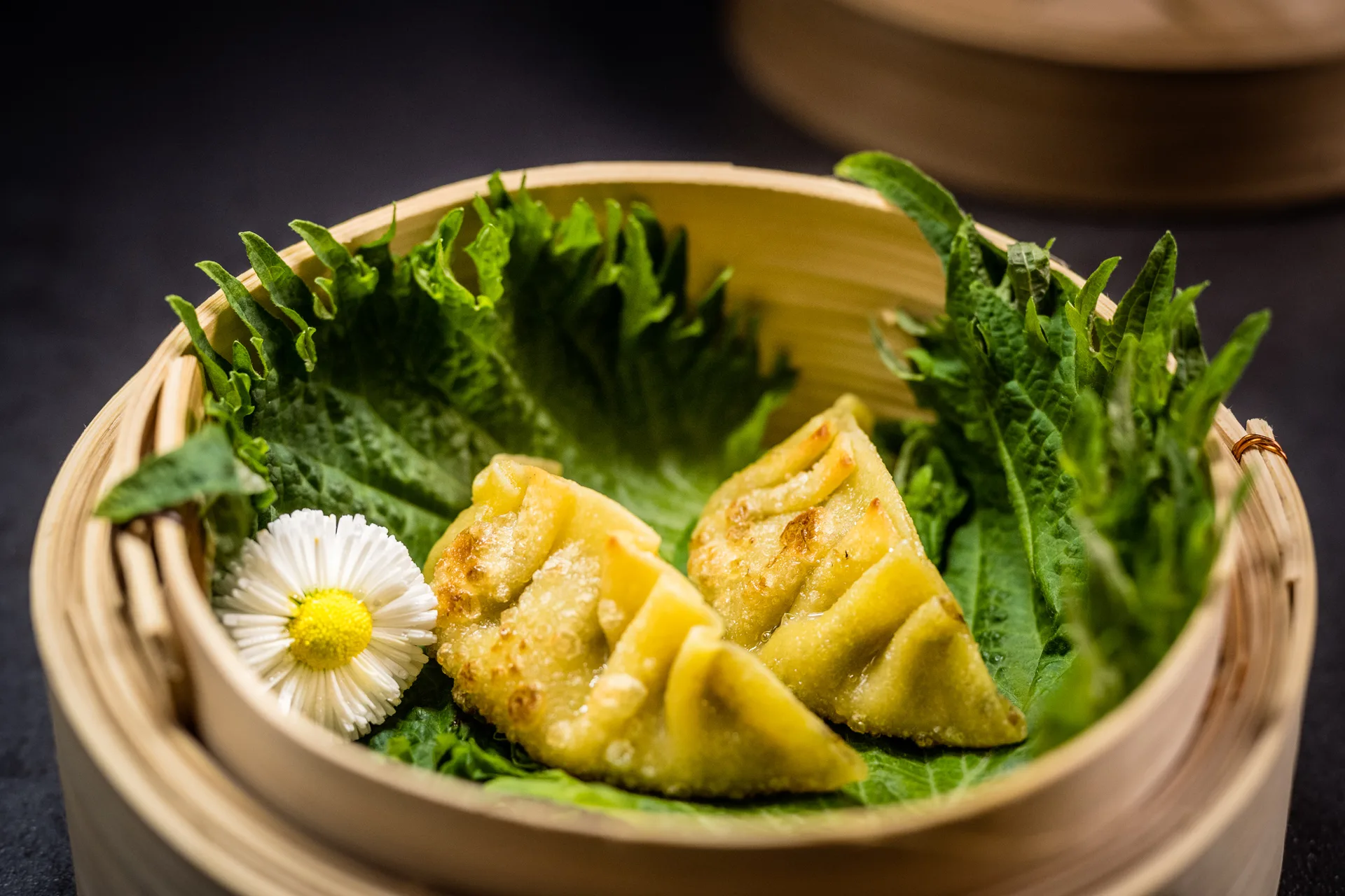 Cube by Mika — food