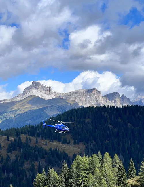 Crans Ambassador — photo 50
