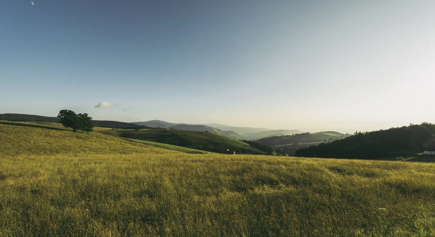 Waldhotel am Notschreipass — photo 14