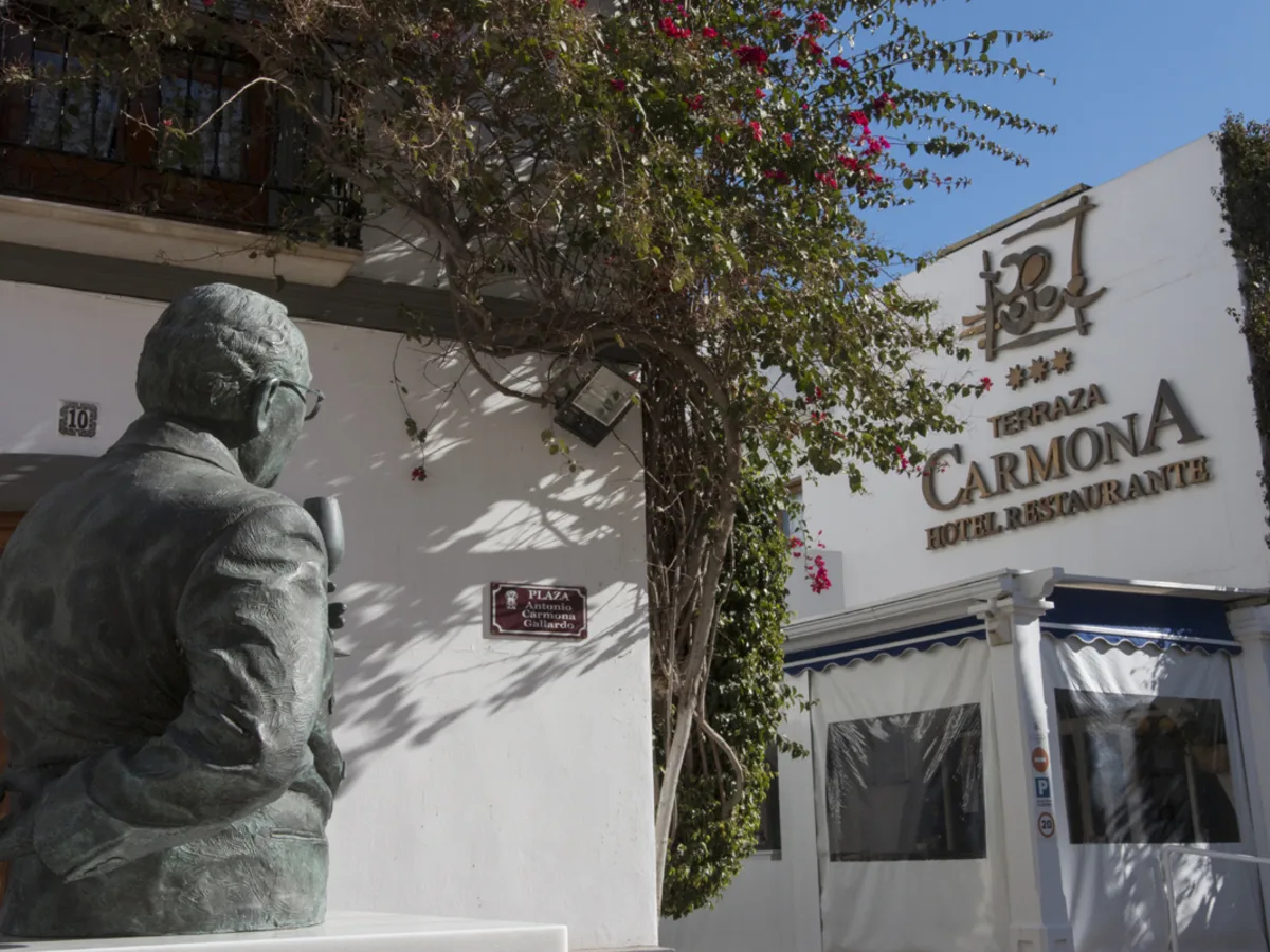 Terraza Carmona — photo 28