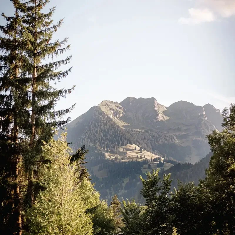 Gstaad Palace — photo 47