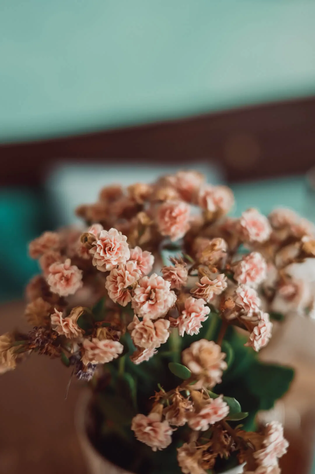 Ostaria Veranda — photo 4