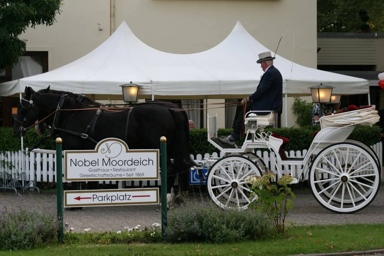Nobel Moordeich — photo 47