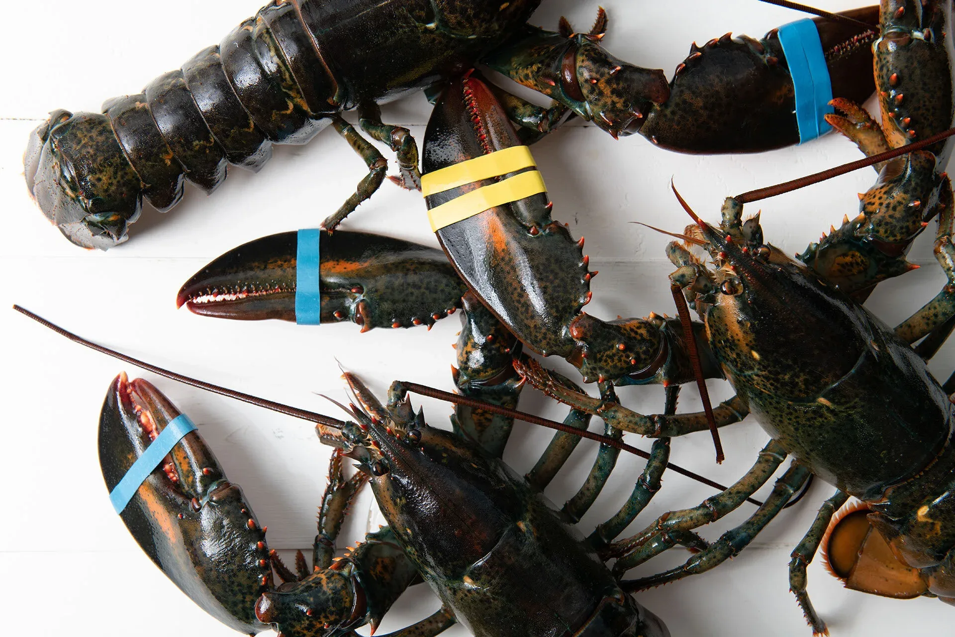 The Restaurant At Rowayton Seafood — photo 95