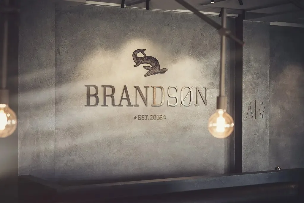 Brandson — photo 33