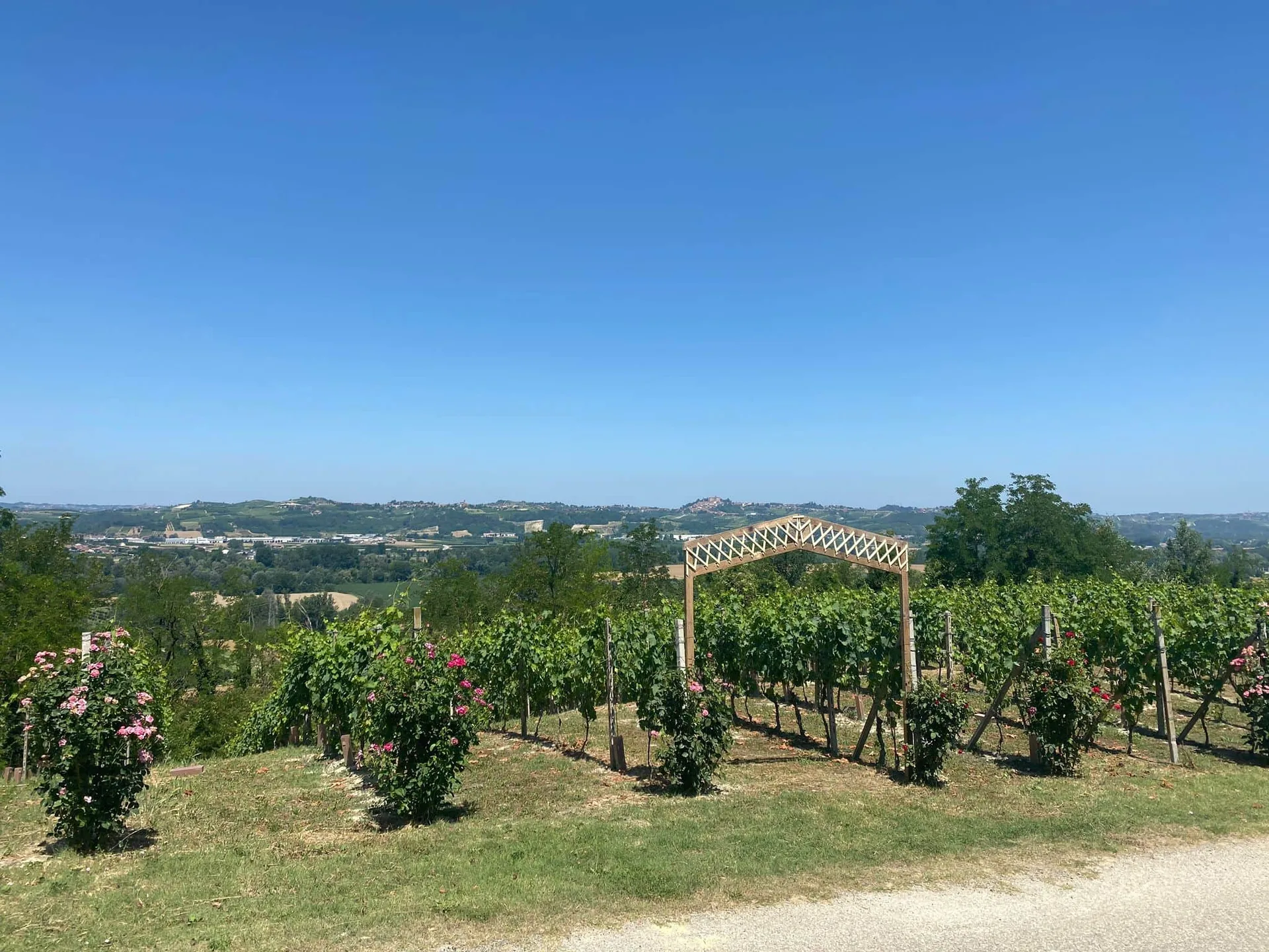Agriturismo Bottega di Rosanna — photo 9
