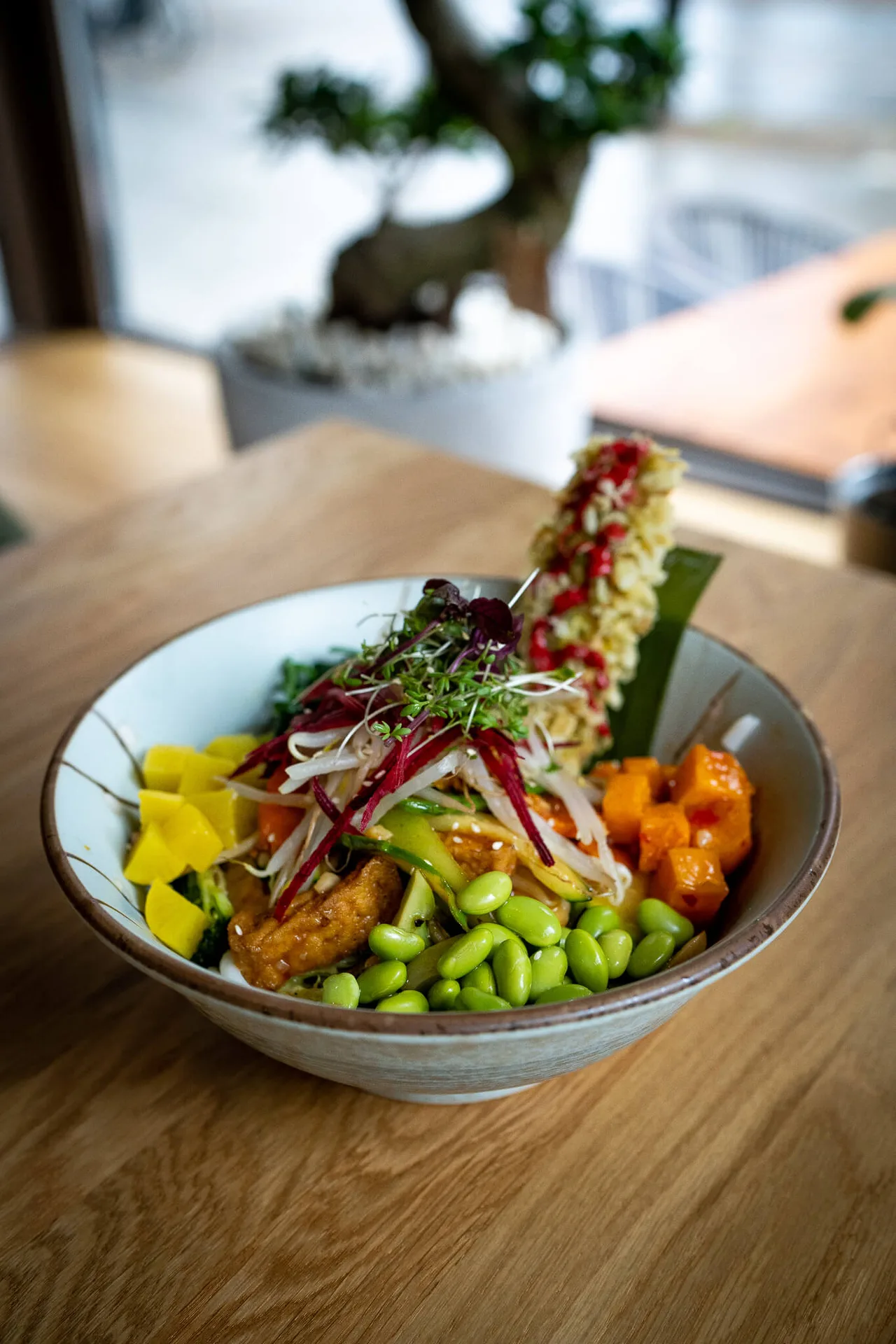 Bodhi Vegan Living — photo 14