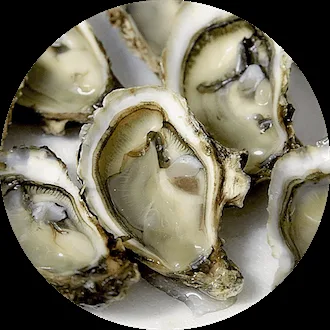 Ai Campi di Marcello — food