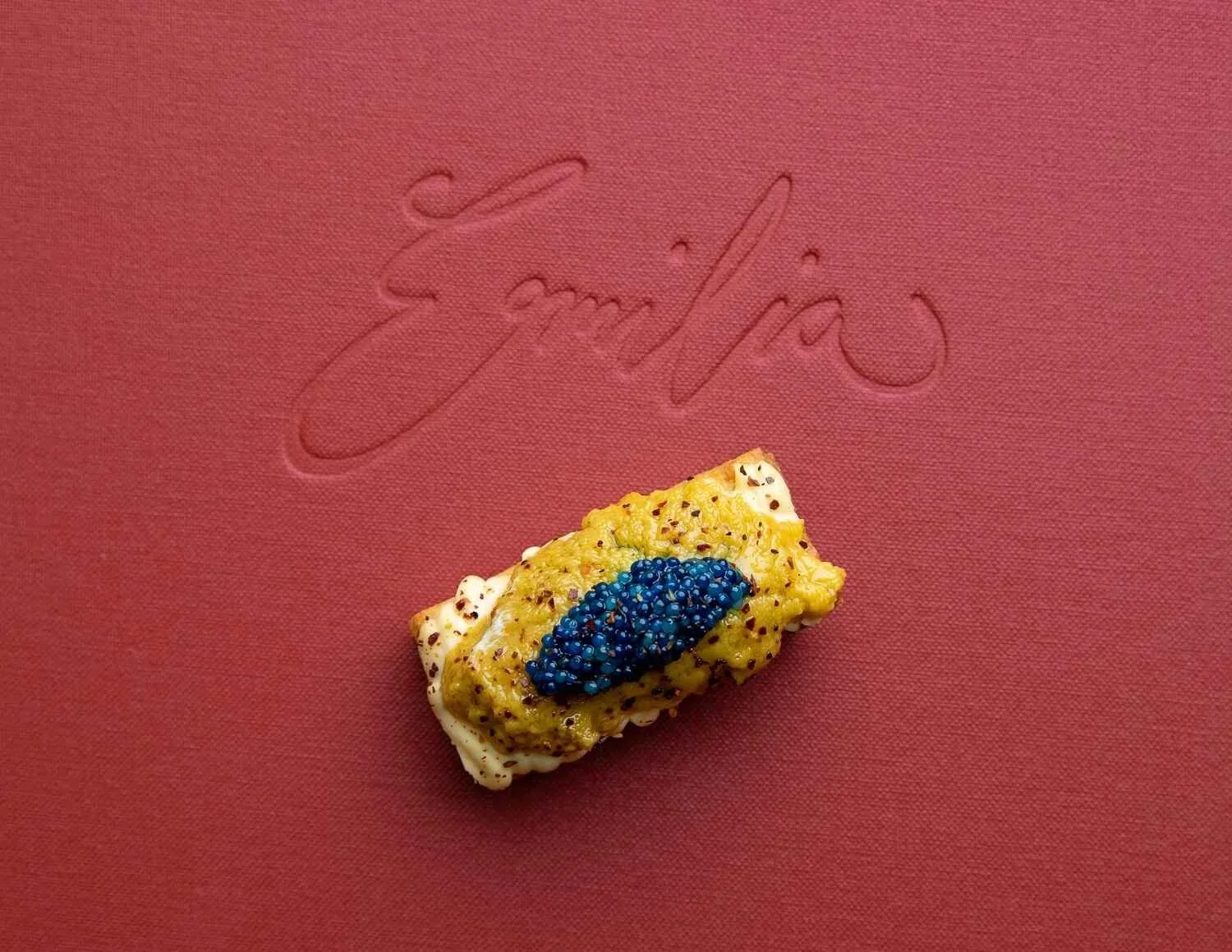 Trattoria Emilia — photo 79
