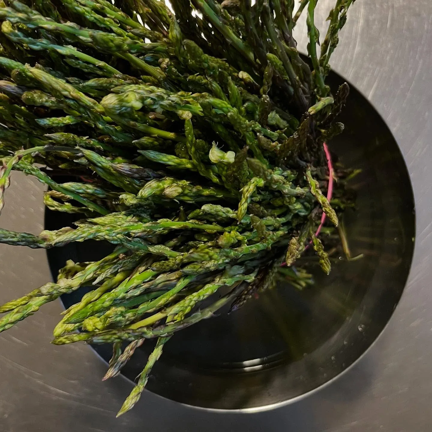 Cucina — photo 9