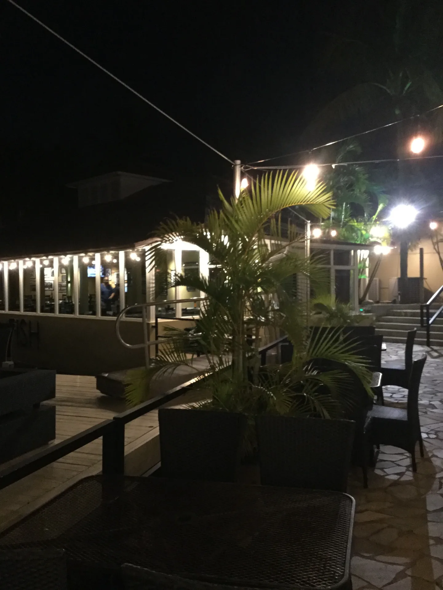 Flying Fish GastroBar — photo 81